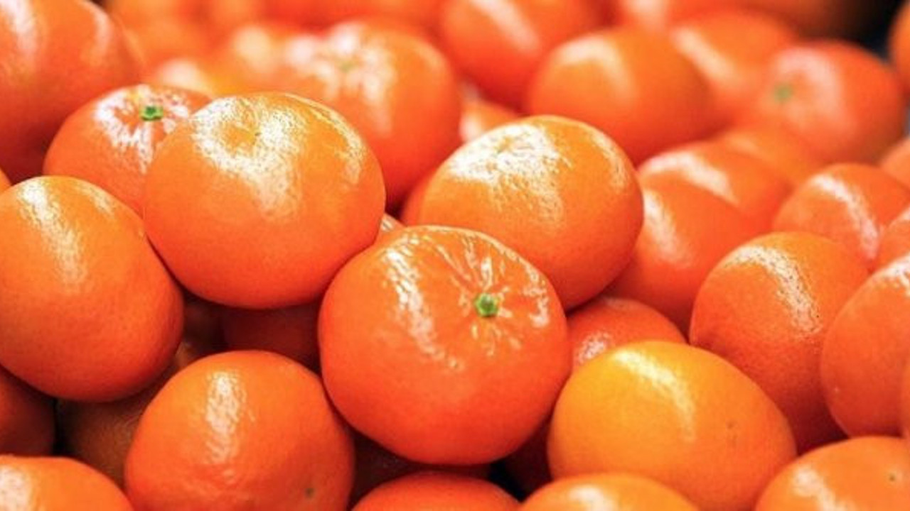 Narenciye ihracatını mandalina sırtladı