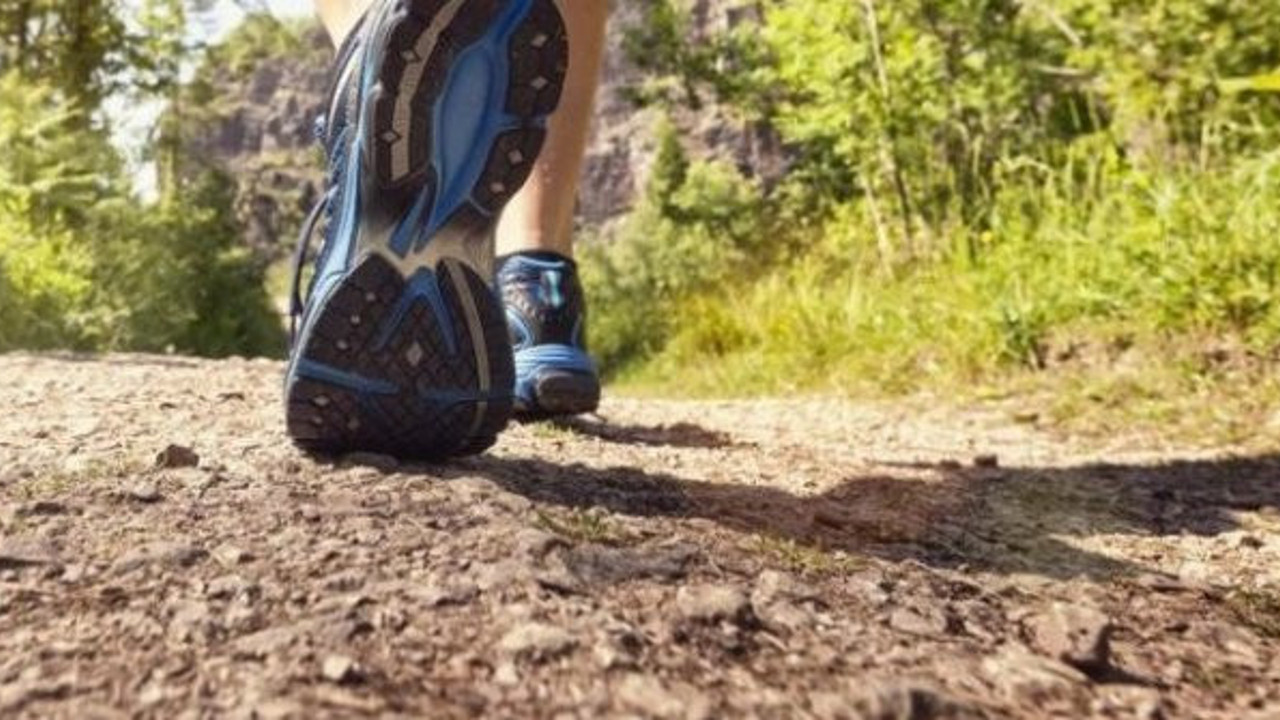 Hayatı zehir ediyordu oysaki yararı yokmuş. Kanadalı uzmanlar açıkladı