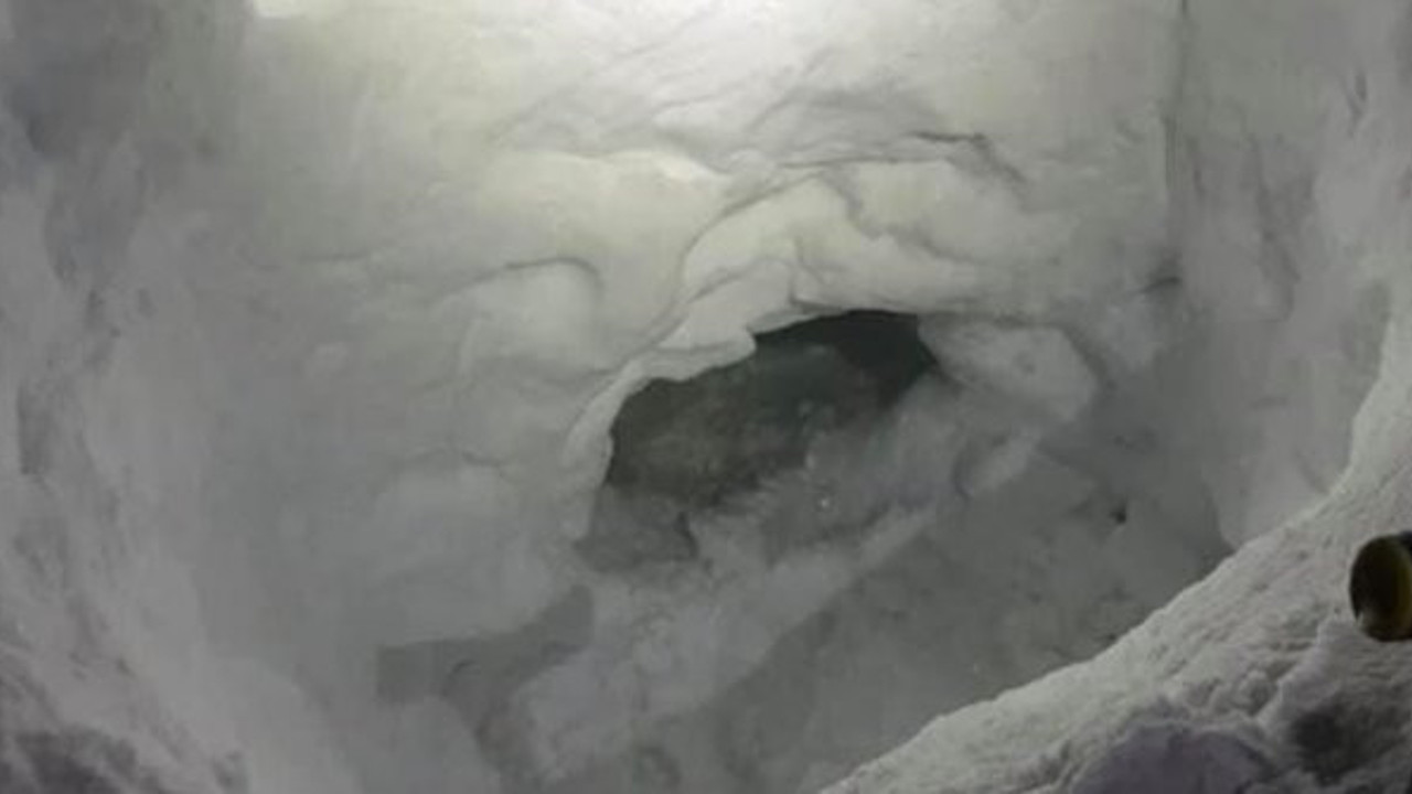 Dondurucu soğuktan kar mağarası yaparak kurtuldu