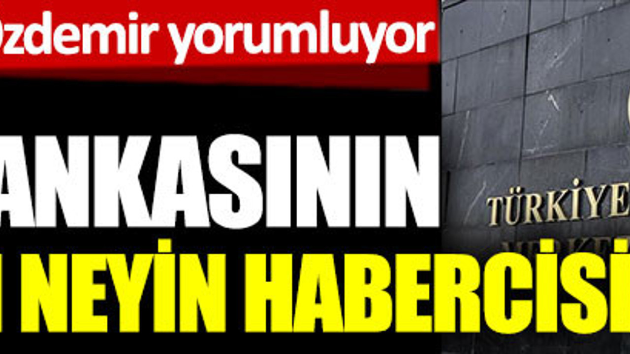 Merkez Bankası'nın faiz kararı neyin habercisi? Ekonomist Remzi Özdemir yorumluyor