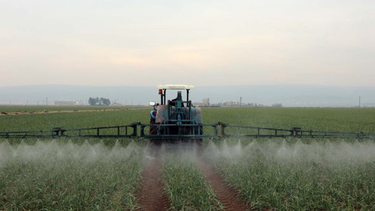 Önce tatlı ve fıstık şimdi sarımsak ile ünlenecek