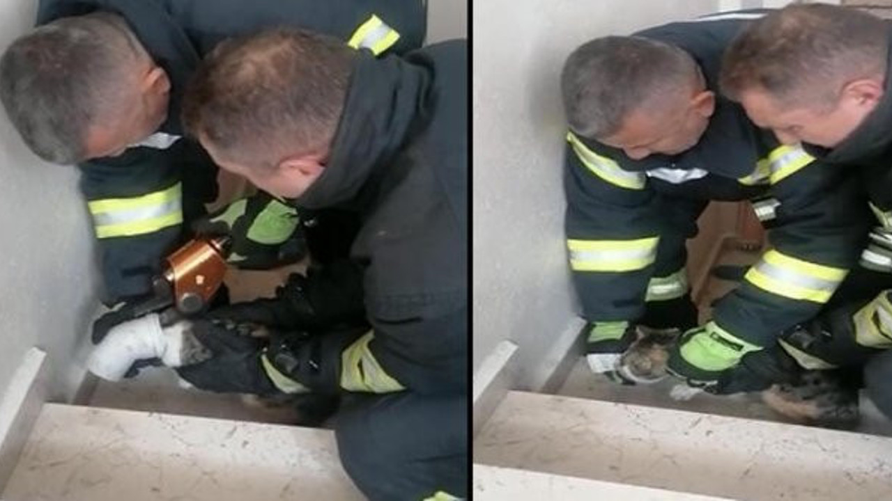 Afacan kedi itfaiyeyi alarma geçirdi