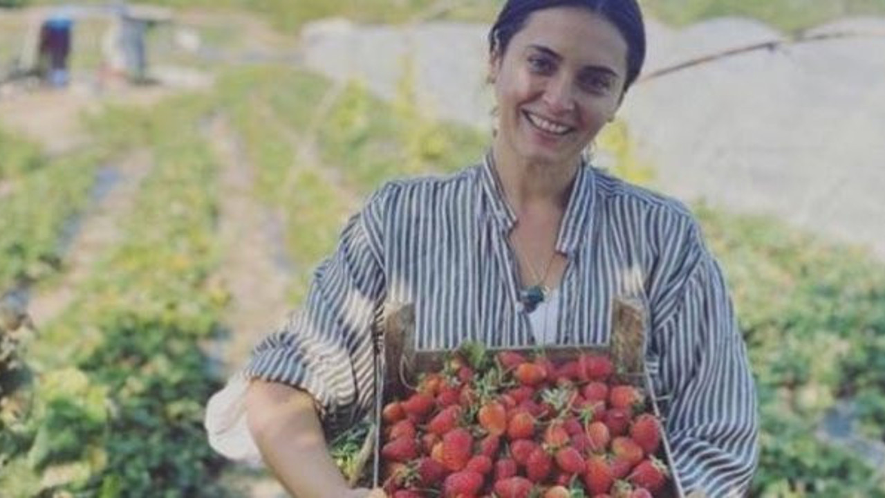 Burak Hakkı ve Filiz Taçbaş ile aynı yolu seçti. Kırmızı Oda'nın Kumru'su Aslıhan Gürbüz şimdi tarlada çilek topluyor