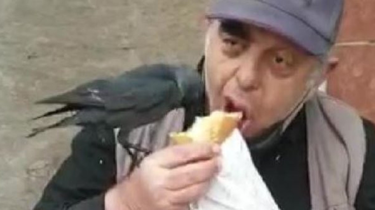 Kocaeli'de karga vatandaşın ağzından dönerini aldı