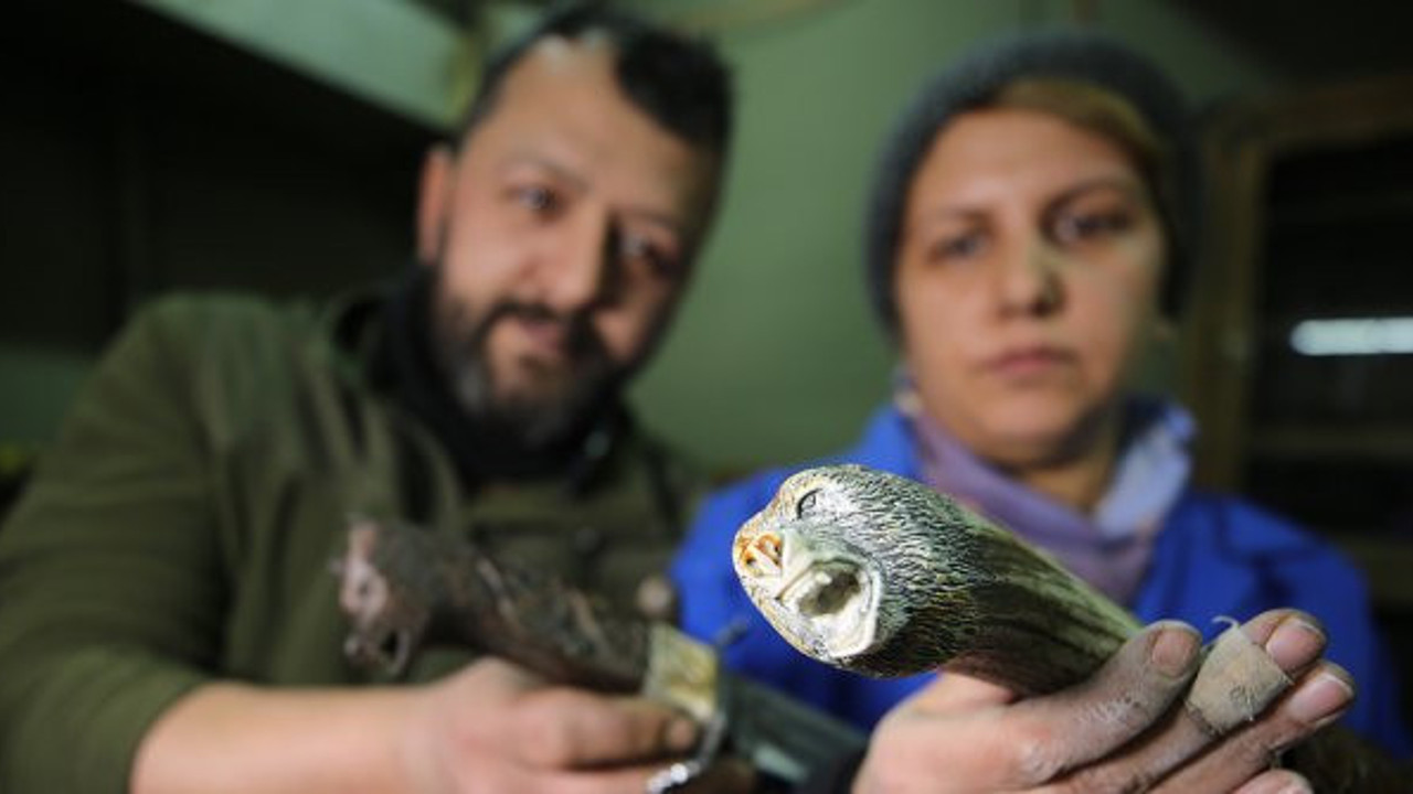 Usta çift ahşap ve çeliği sanat eserlerine çeviriyor