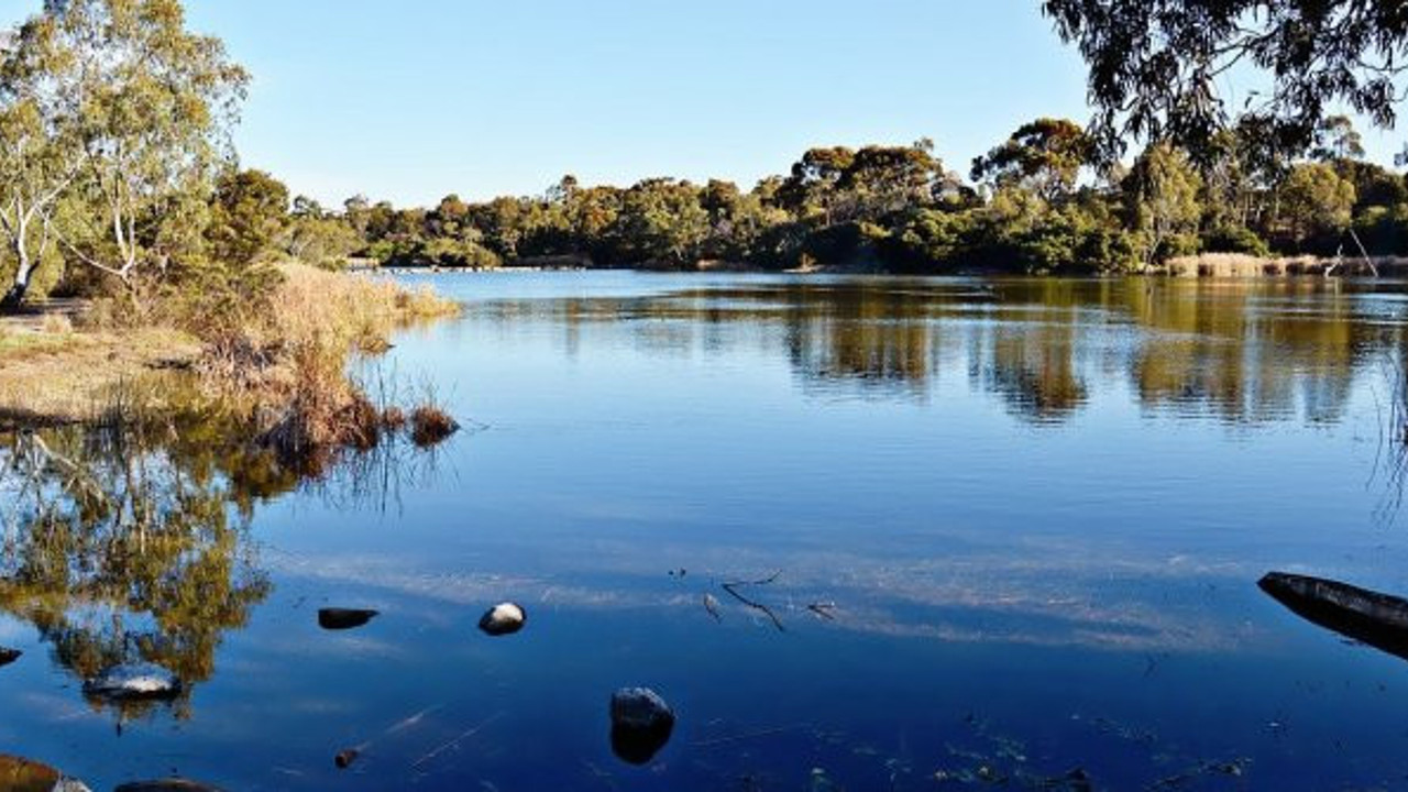 Avustralya'da gölde yüzerken aniden ortaya çıkıp kafasını ısırdı. Can havliyle mucizeyi gerçekleştirdi