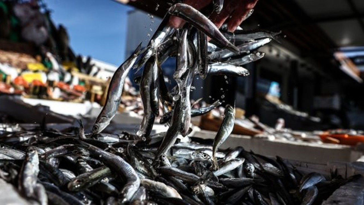 Av yasağı uzayınca fiyatlar yüzde 100 zamlandı