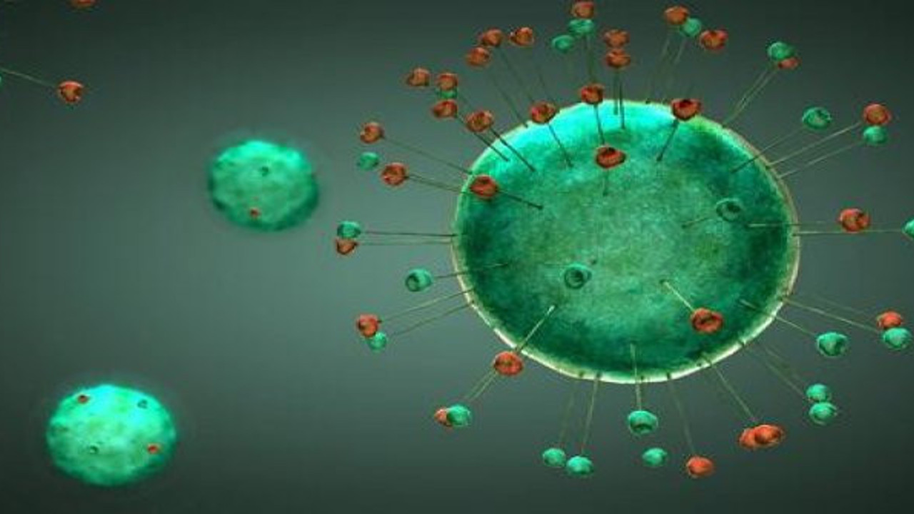 Koronayı tespitte uygulanacak yeni yöntem. Halk tepkili, doktorlar ise destekliyor