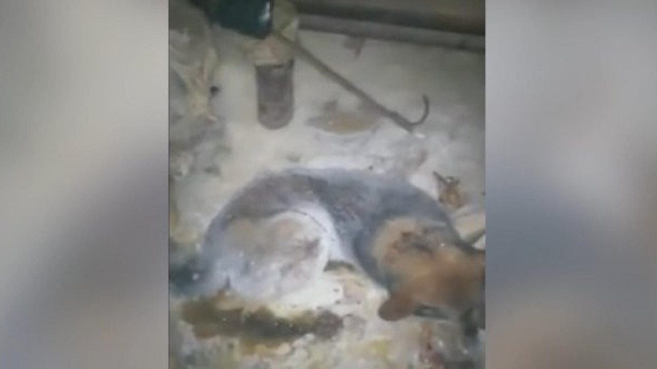 -54 Derecede dondu. Levye ile hayatta kaldı