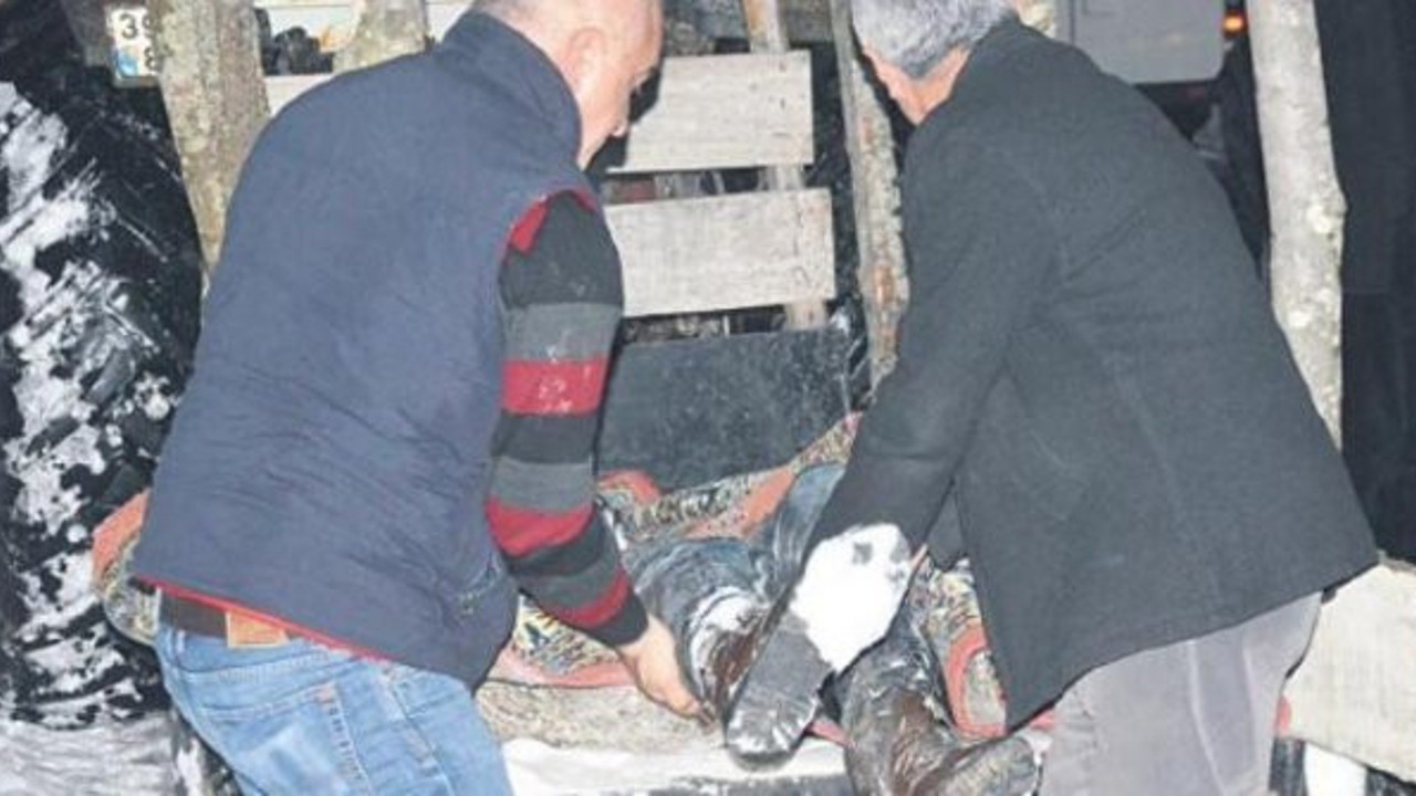 Ormanda esrarengiz 2 ceset bulundu