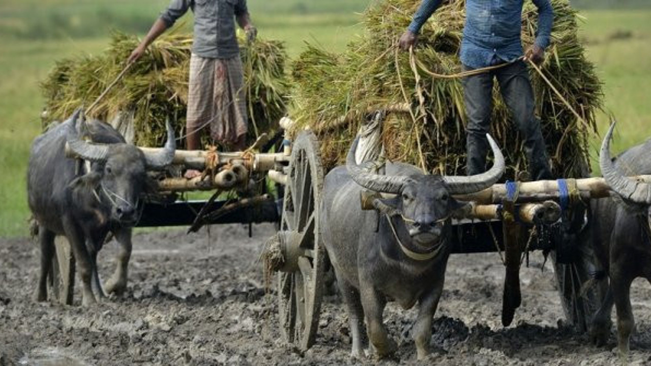 Hindistan'da büyük grev başladı