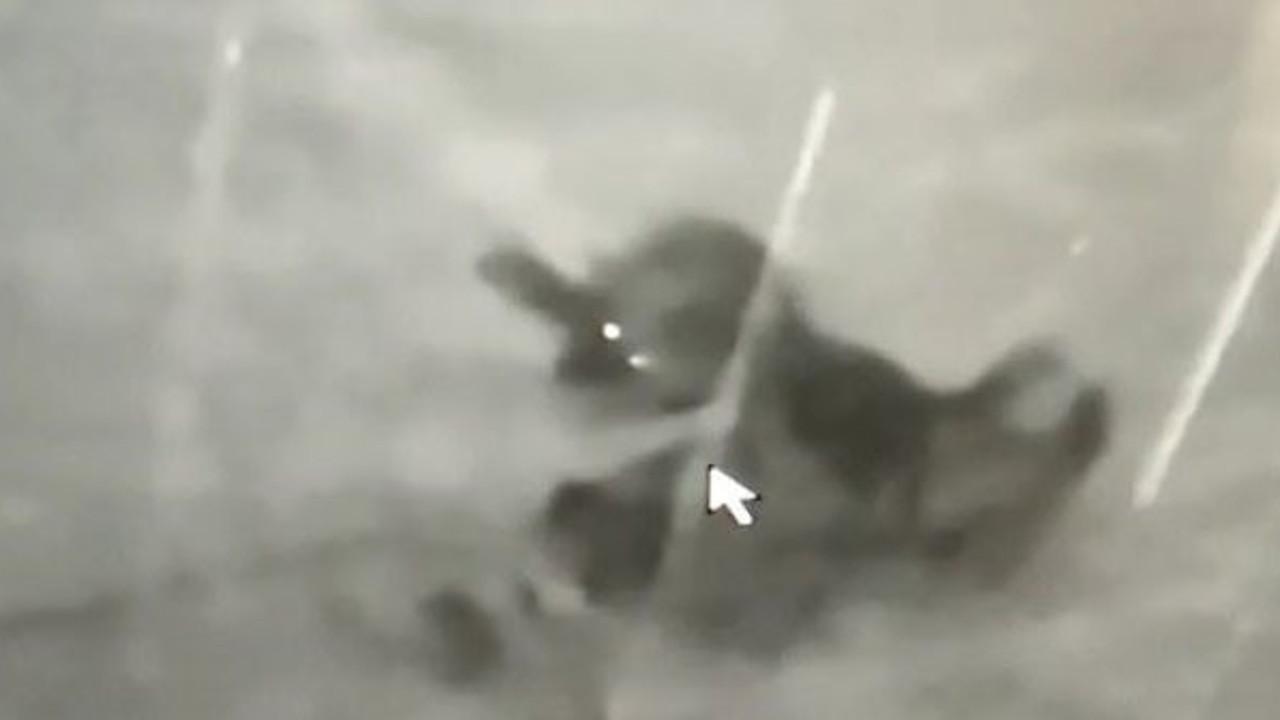 Sivas’ta kurtlarla kangal köpeğinin kapışması kamerada