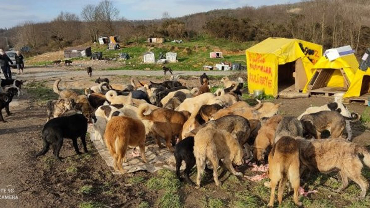 İYİ Parti Beykoz Teşkilatı'ndan örnek davranış. Can dostlar unutulmadı