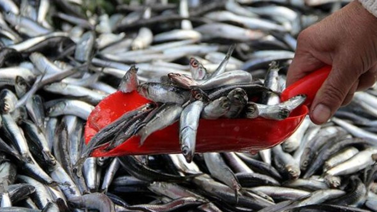 Sevindirici haber bakanlıktan geldi. 7 Şubat'a kadar yasaklanmıştı