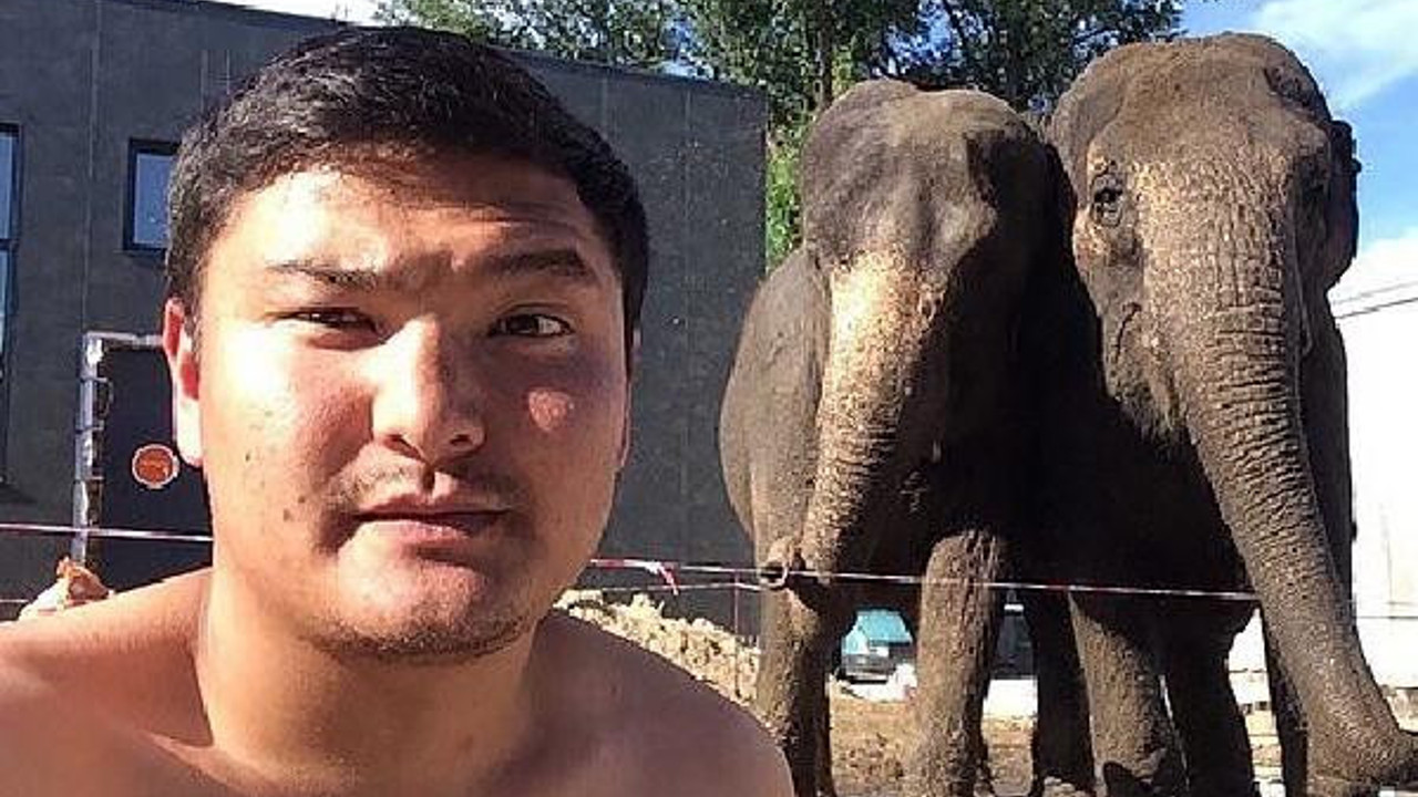 Eğitmenin belini kıran fillere men cezası