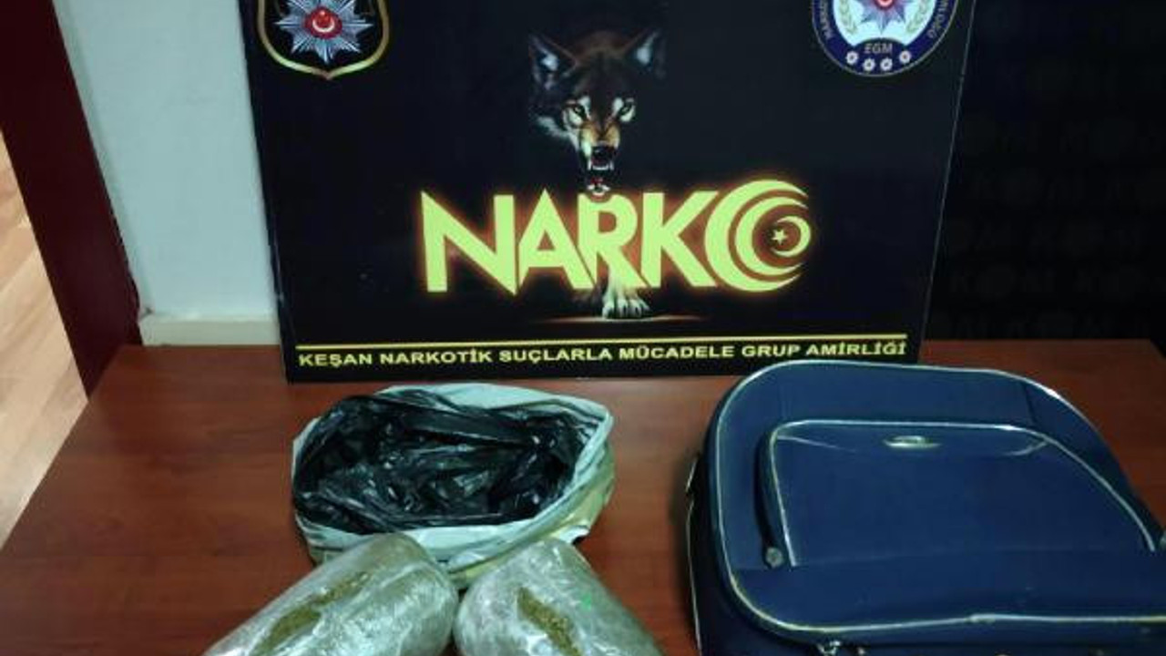 Eniştesinden şüphelendi. Valizin içinden bonzai çıktı