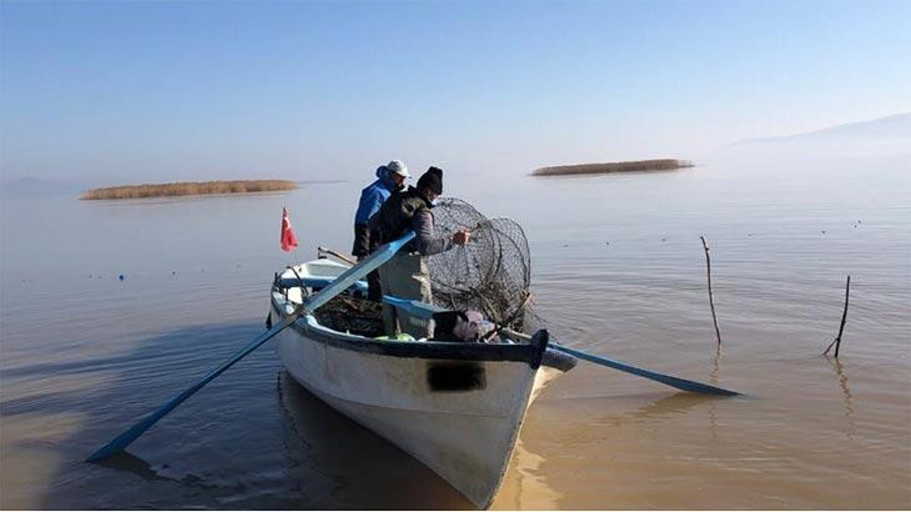 Bursa'da ele geçirildi! Yeniden doğaya bıraktılar