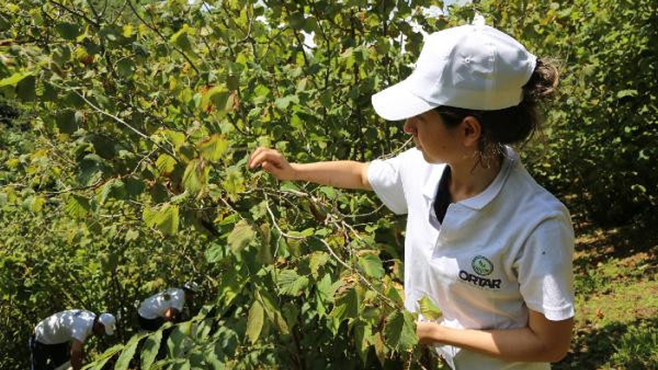 20 ülke almak için sırada. Kanserin baş düşmanı her derde deva