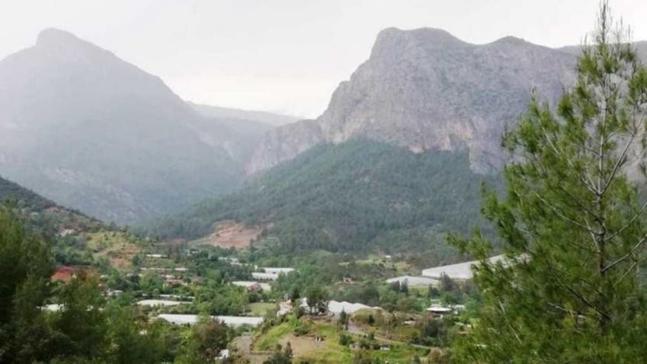 Vikipedi’den kopyala yapıştır ÇED raporunu onayladılar. Mezar taşı için ağaçları kesecekler. Ormanlar kesilmeye devam ediyor