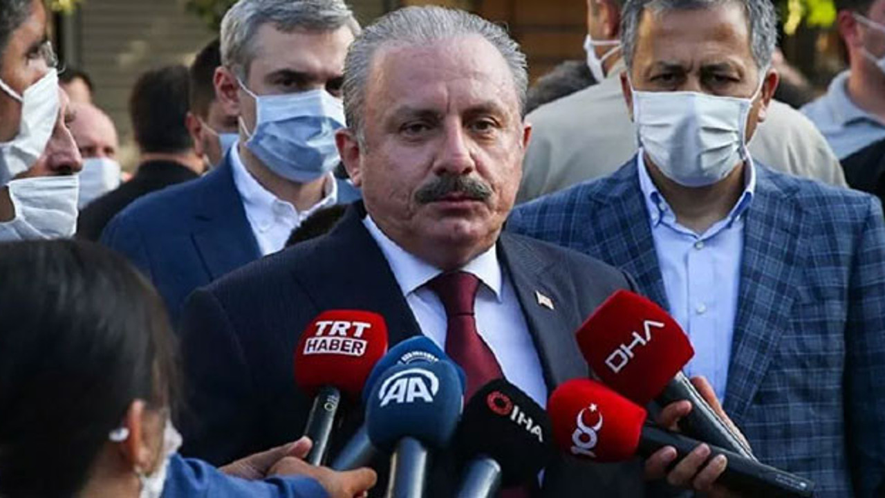 Mustafa Şentop'tan Boğaziçi açıklaması