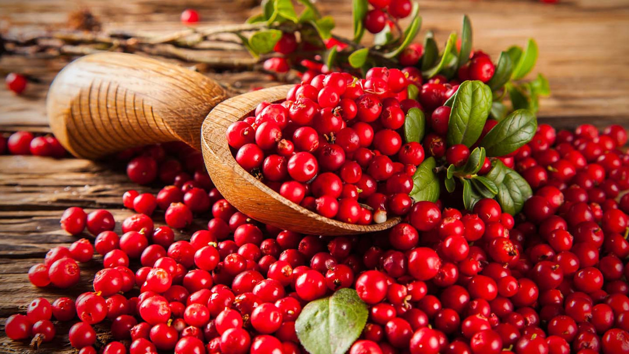 Kilo verdiriyor vücudu yeniliyor ,hastalıkların baş düşmanı vitamin deposu