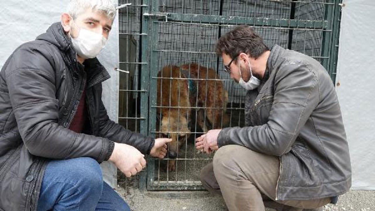 Av tüfeğiyle vurdu para cezasıyla kurtuldu