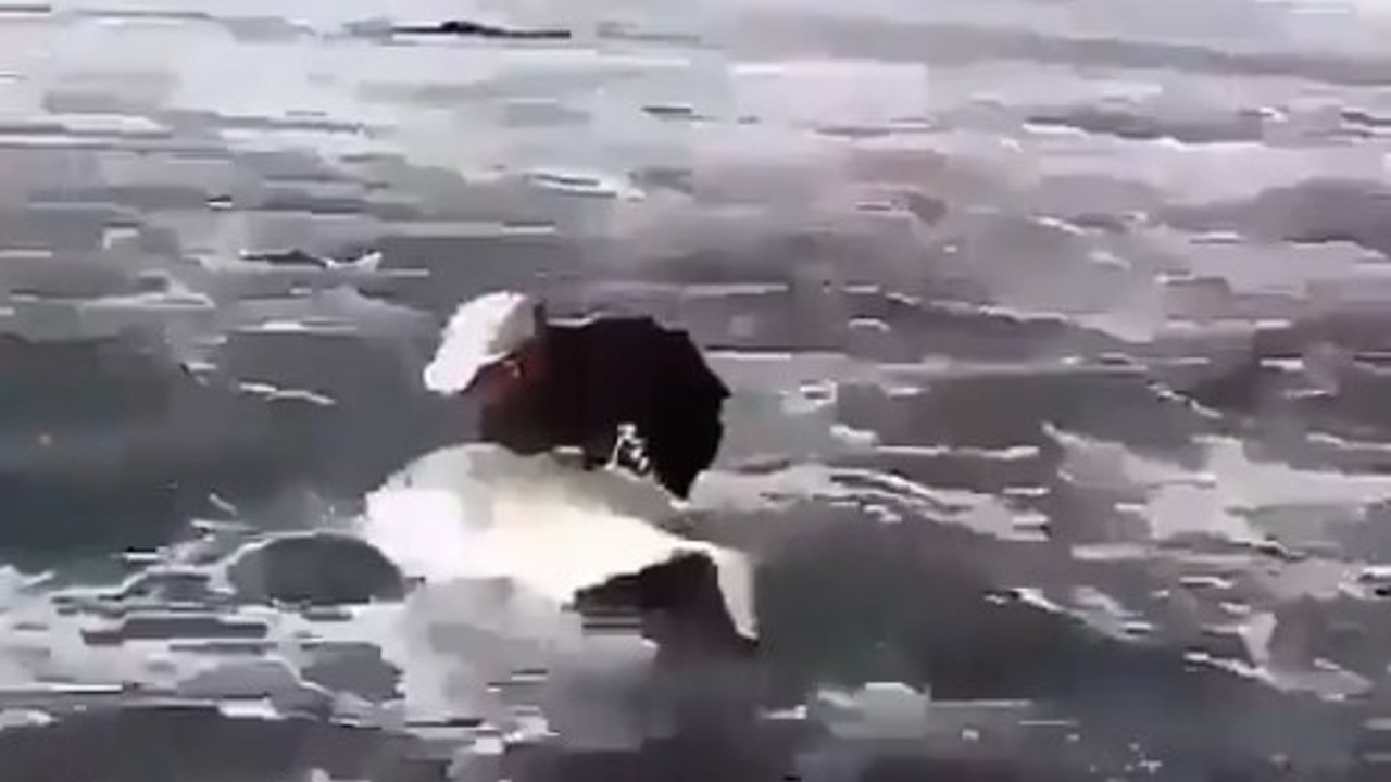 Yaşasın iyi insanlar kahrolsun kötü insanlar . Cennete gitmek istiyorsanız iyi insan olun yeter