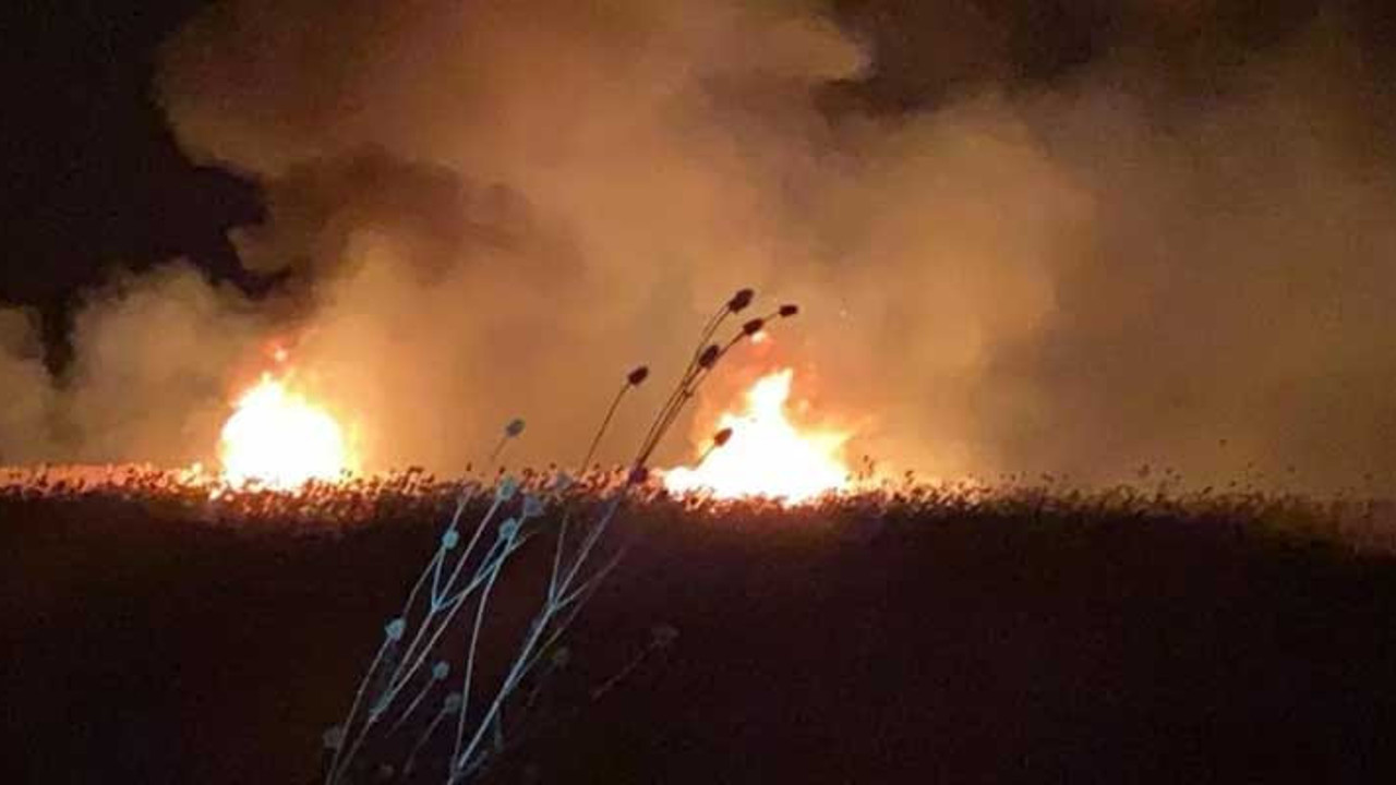 İznik'te sazlıklarda ikinci yangın