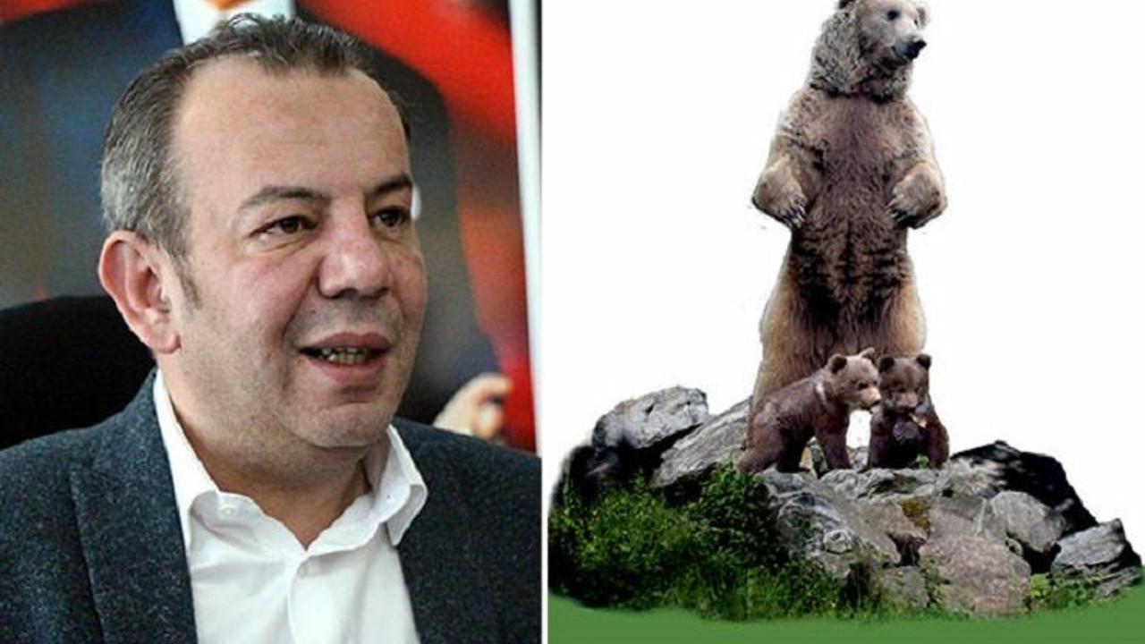 Bozayı heykeli eleştirilerine Bolu Belediye Başkanı Özcan'dan yanıt: 'Ayımıza sahip çıkmak görevimiz'