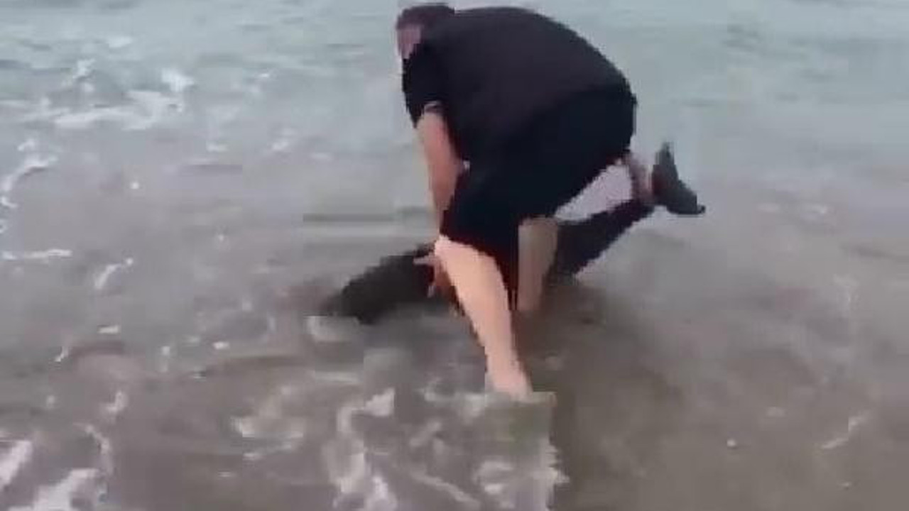 Türkiye'den dünyaya muhteşem örnek. Dünya dönüyorsa bu iyi insanların yüzü suyu hürmetine