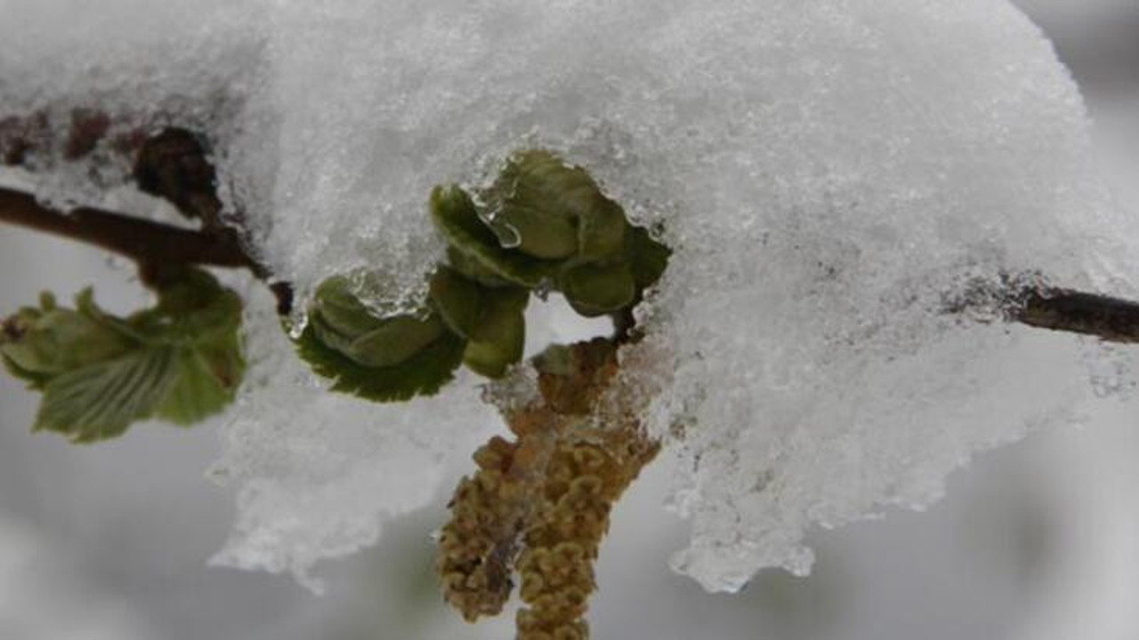 Meteoroloji’den alarm. 4 il için uyarı. 20 Şubat’a kadar sürecek