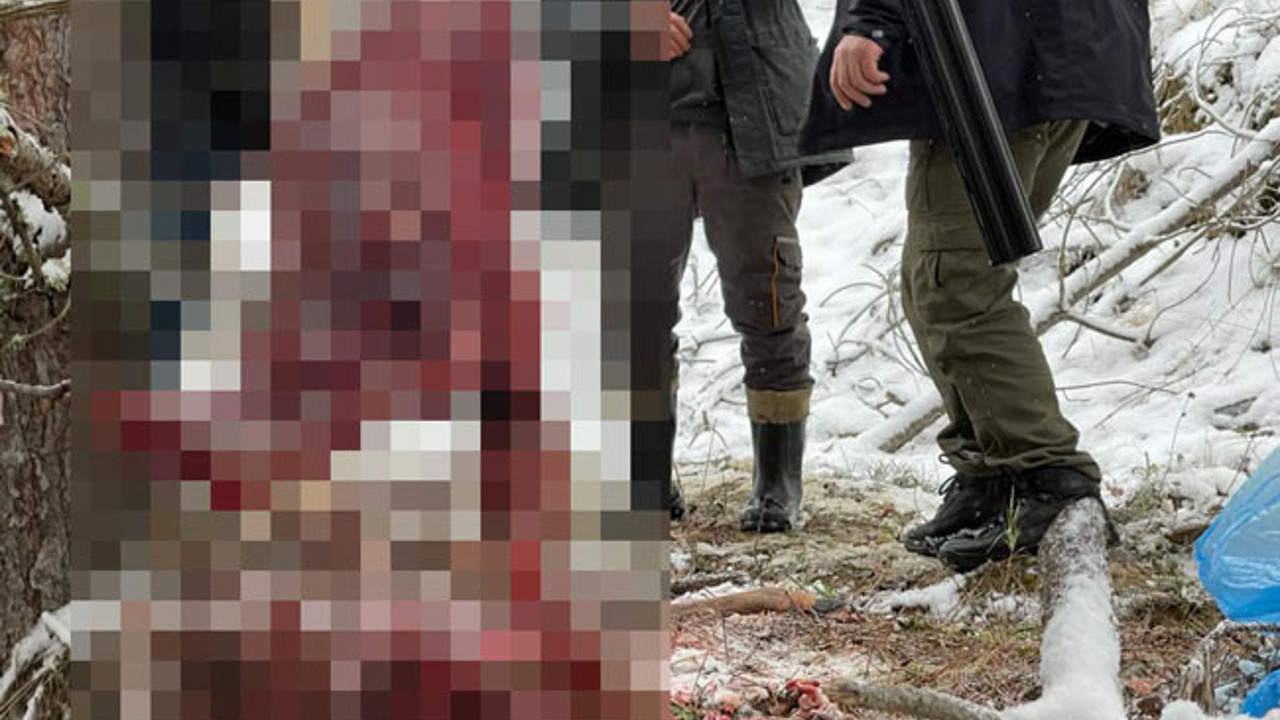 Hamile karacaya bunu yaptılar. Anne karnında birbirlerine sarılacak can verdiler