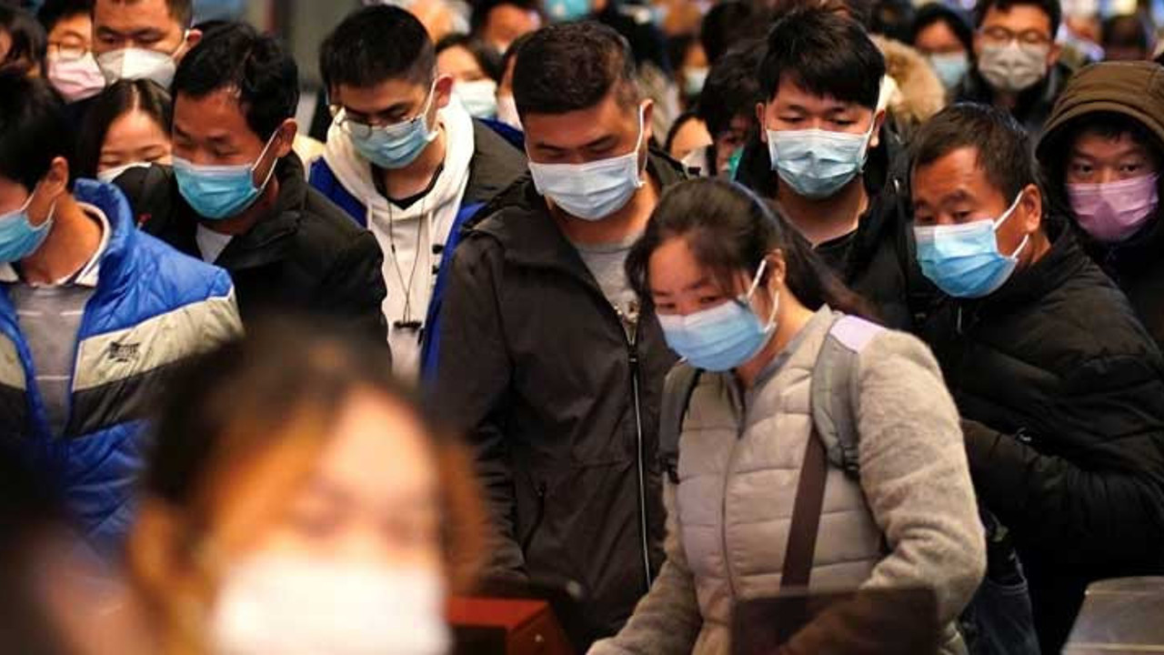 Korona virüsün kökenini araştıran DSÖ uzmanı 'Bu yeni bir bulgu' diyerek açıkladı