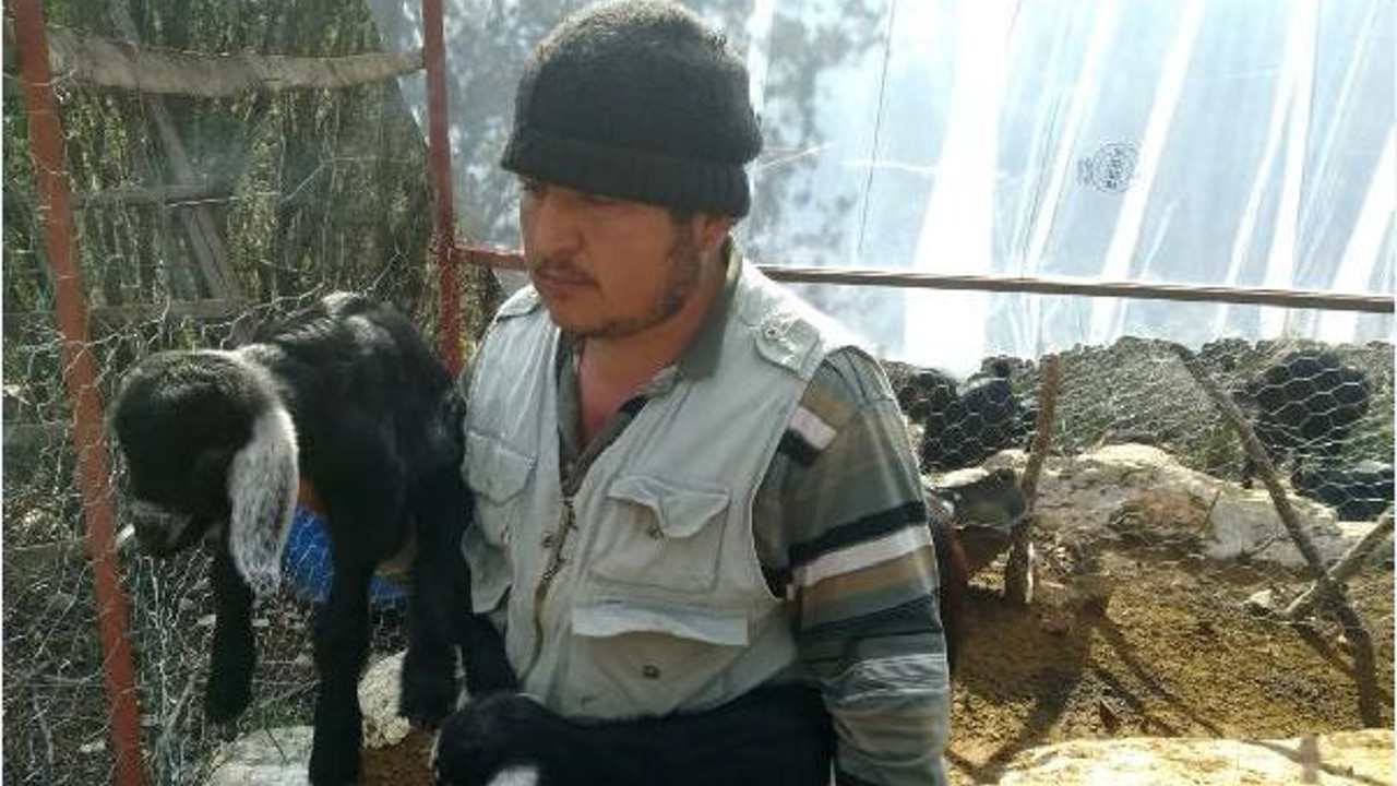 Birden ortaya çıktı saldırıya geçti. Köylü isyan etti.