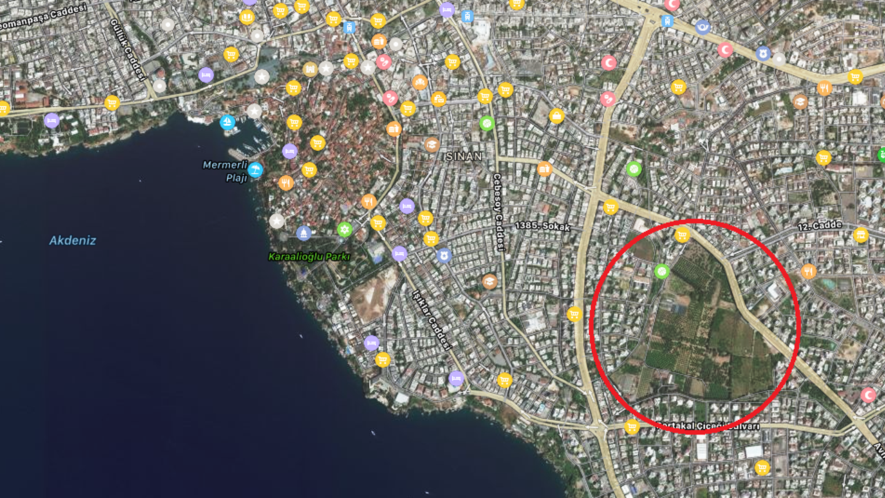 Antalya’nın en kıymetli narenciye bahçesini vakıflar kiraya verdi