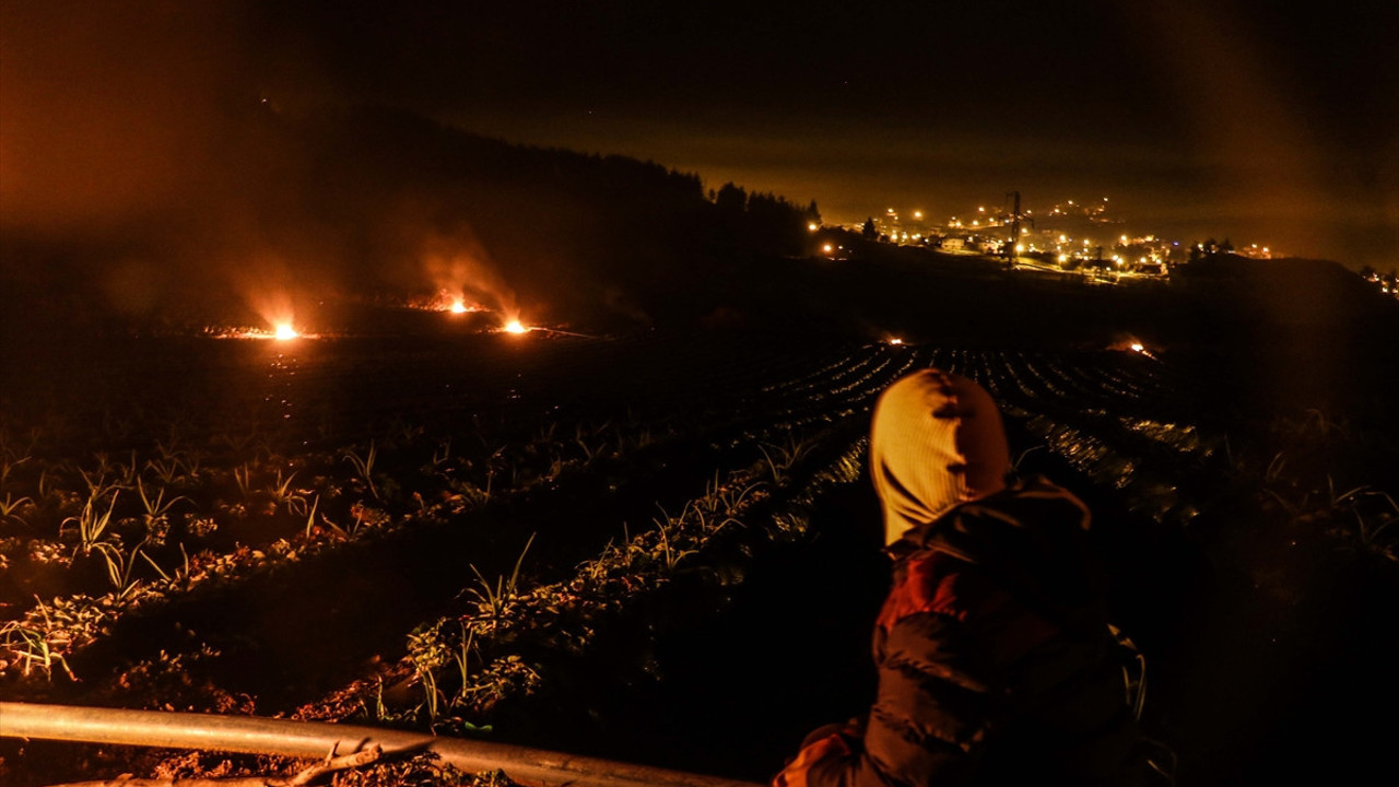 Ateş yakarak kurtarmaya çalışıyorlar. Don tehlikesi üreticileri vurdu