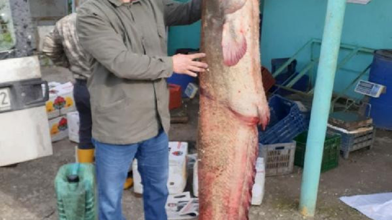 Ağlarını çeken balıkçılar gözlerine inanamadı. 2 saatlik amansız mücadele