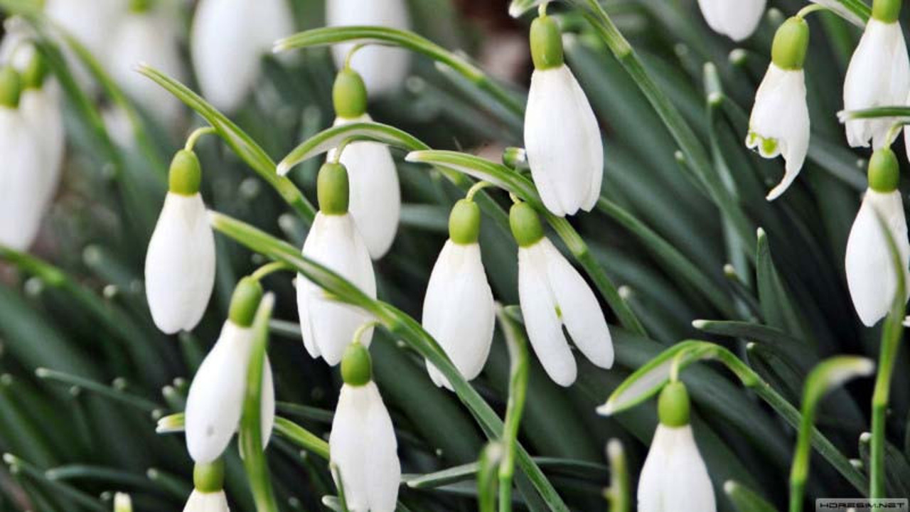 Vatandaşlara 'aman yapmayın' uyarısı: Bir ev parasına mal oluyor