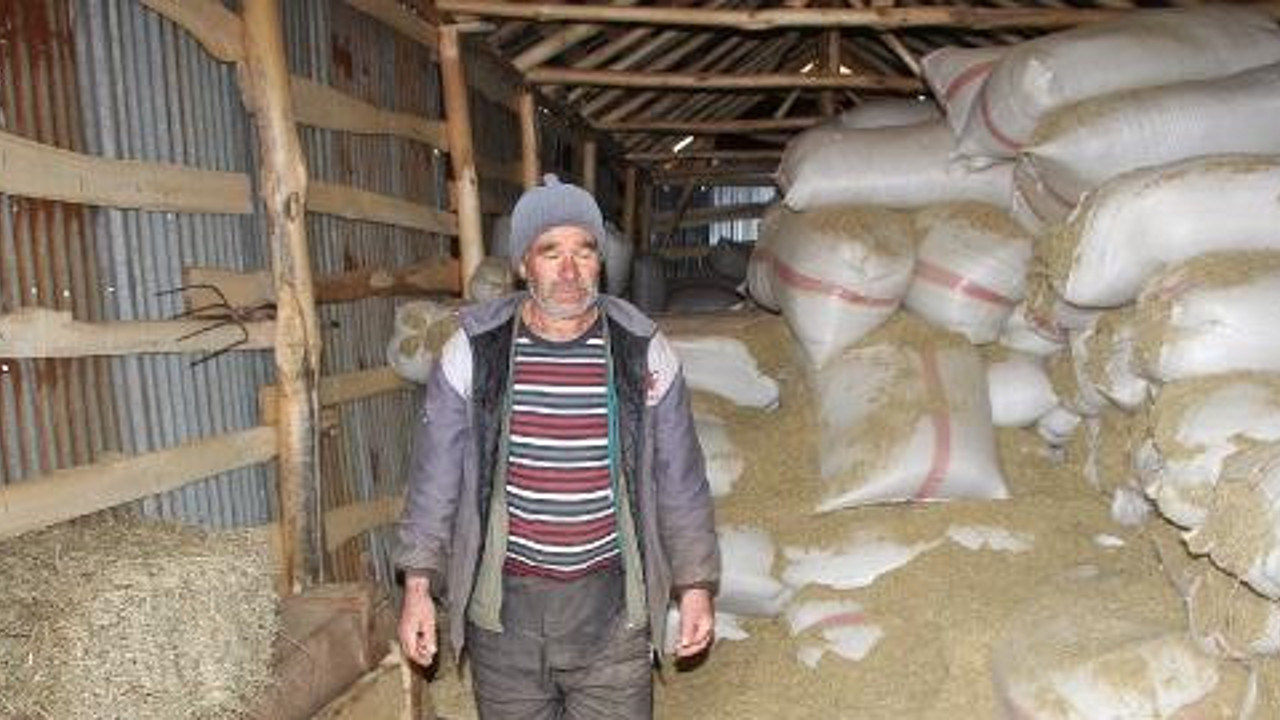 Onlarcası peş peşe yere yığıldı. Çaresiz köylü isyan etti