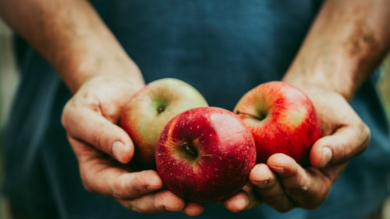 Faydaları saymakla bitmiyor. Sağlığa etkisi yüzyıllardır biliniyor! Çok güçlü antioksidan