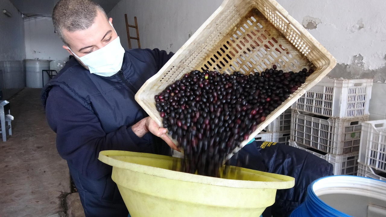 Zeytinde akılalmaz hile. Alırken bir değil bin kere düşünün
