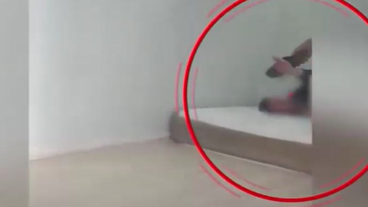 Kadın hemşire utanmadan bir de sen dışarı çık abi dedi. Bakım evinde engelli çocuğa alçakça dayak. Yapmam abi diye yalvardı