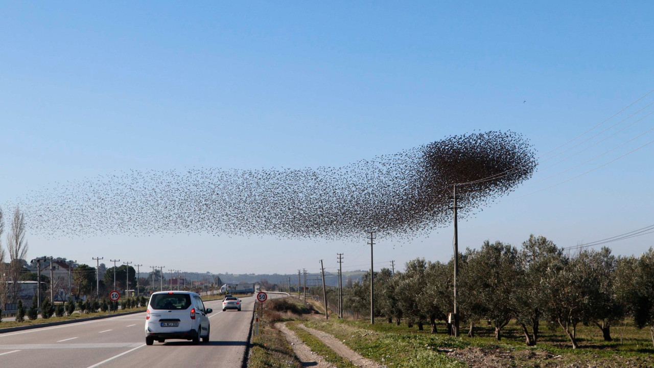 70 kilometre hızla gökyüzünde şov