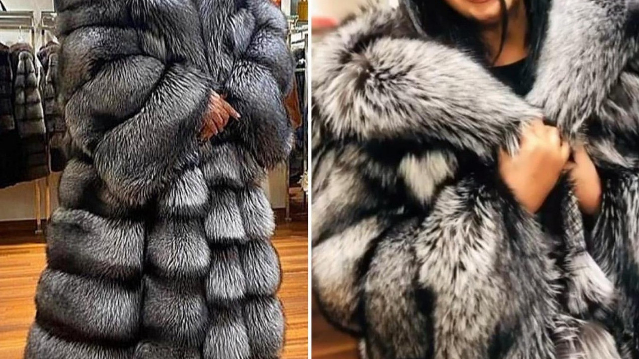 Bülent Ersoy’un aldığı kürkün fiyatına bakın yok artık. Bu kürk için 55 tilki öldürüldü. 150 asgari ücretlinin maaşı