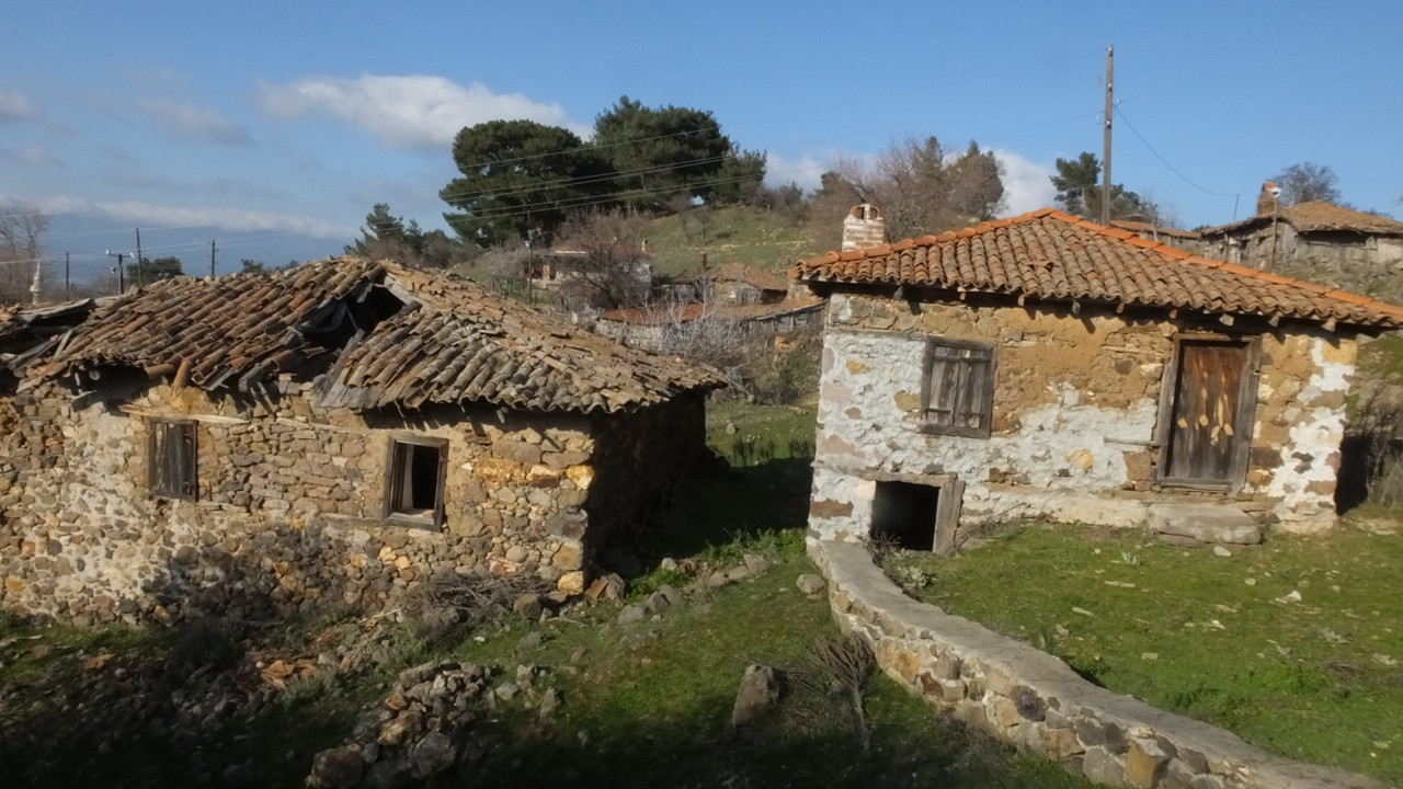 1980'de 45 aile vardı. Hayalet köyün yeni sahipleri koyunlar oldu