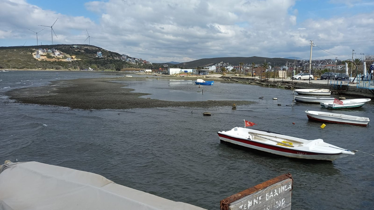 Seferihisar'da sular çekildi dedikodu kulaktan kulağa yayıldı. Sığacık'ta 5 ay önce tsunami olmuştu.