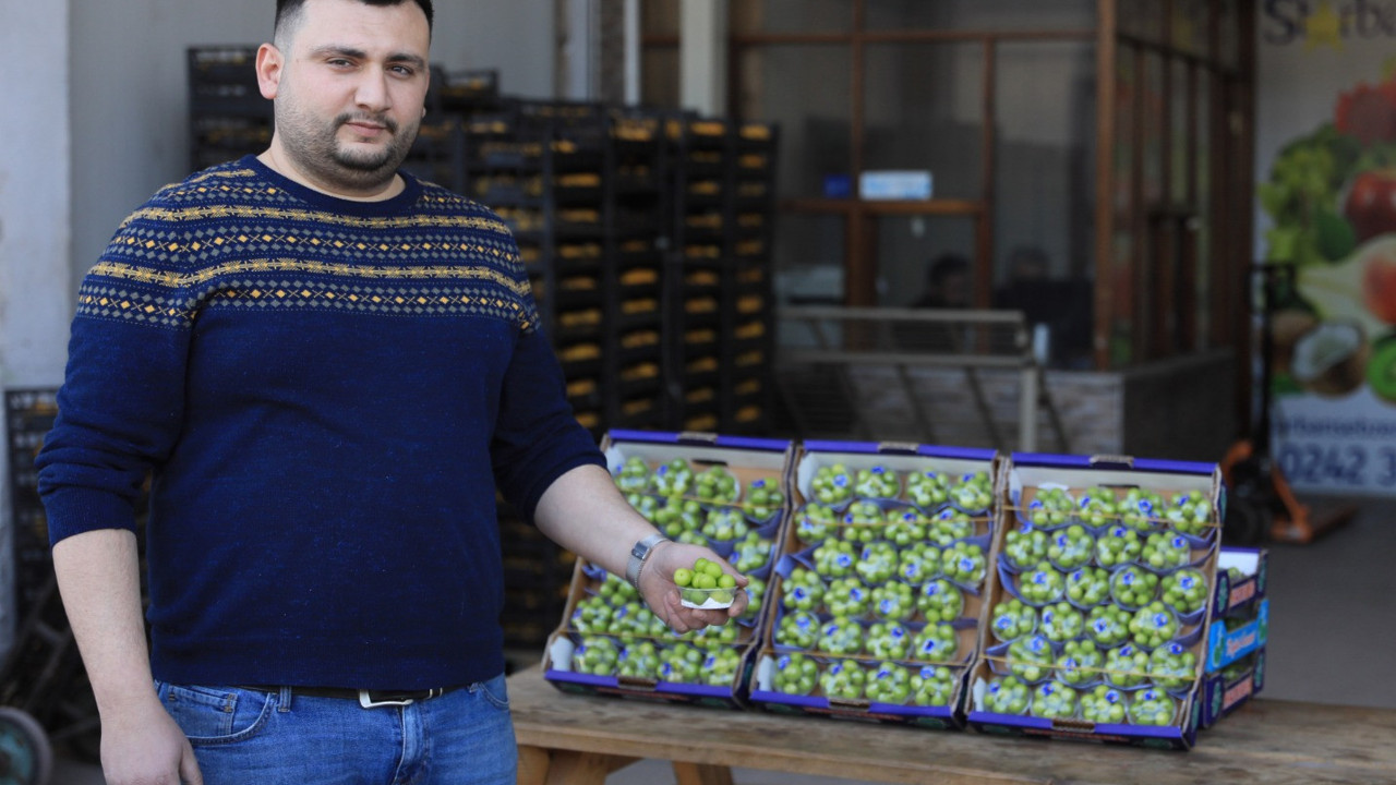 Yuh bu kadar da olmaz ki erik 750 lira. Etin kilosu 80 lira. Koruma ile getiriyorlar VIP muamelesi yapıyorlar