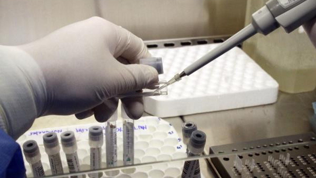 Korona virüsü bulaştırmadıkları kanıtlandı. Yazı rahat geçireceğiz