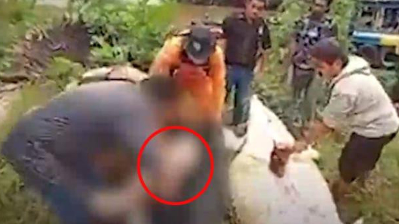 Nehirden füze gibi fırlayan timsah 8 yaşındaki çocuğu yuttu. Midesinden ertesi gün çıkarıldı