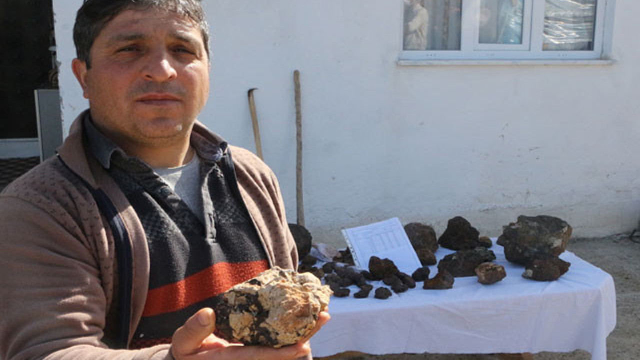 Tokat’ta otlayan koyununun ayağına takıldı. Başına talih kuşu kondu
